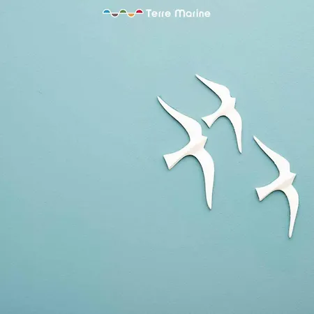 Albatros & Nautilus, Terre Marine *